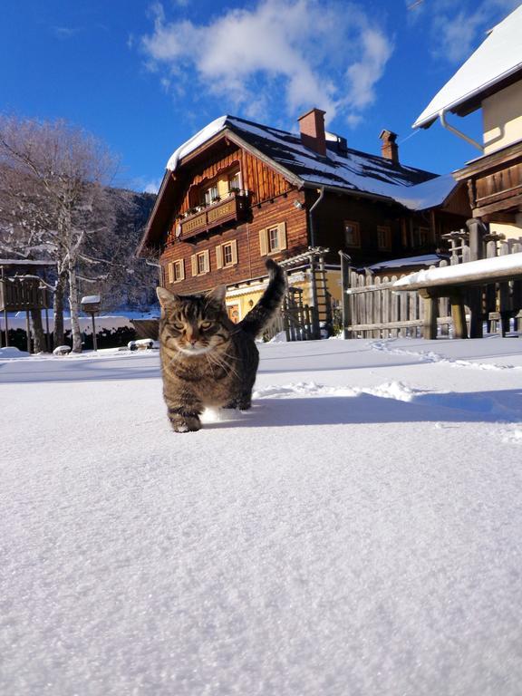 Gut Neusess Villa Mauterndorf  Bagian luar foto