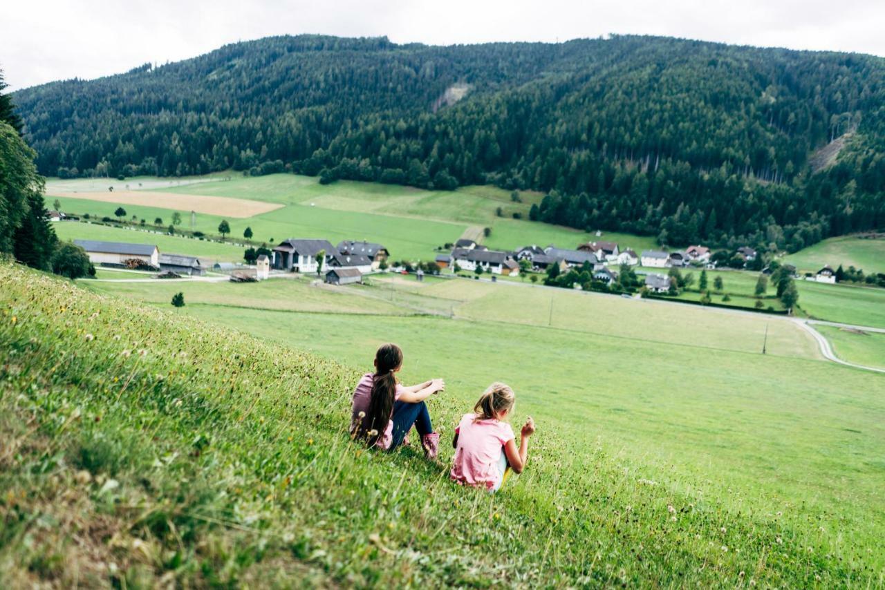 Gut Neusess Villa Mauterndorf  Bagian luar foto